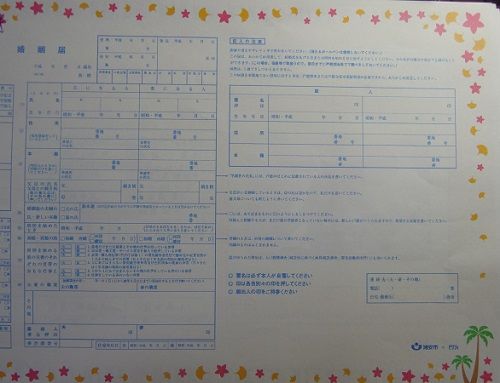 オリジナル婚姻届 小川もこ デリシャス タイム