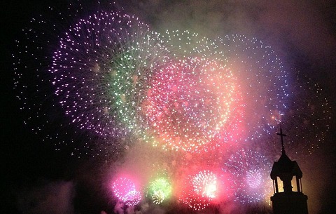 牡丹とチャペル