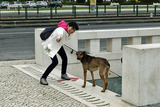 駅伝のために、頑張れ!!犬
