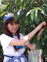 �����ҡ�ƦŦ��