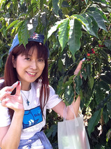 ����ƦŦ�ߣ�