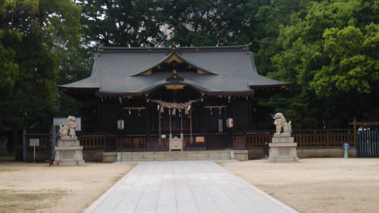 もこさんの神社めぐり