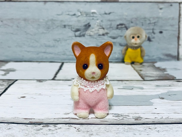 レア！非売品 シルバニア ネコの赤ちゃん 幼稚園児 新品 クリーム 