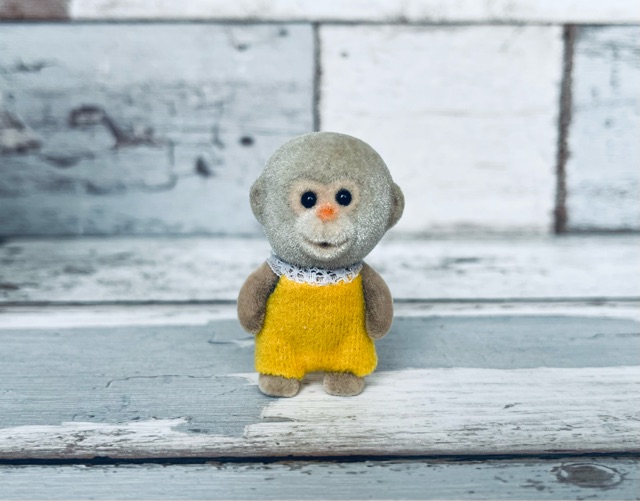 サルを考えてみる : シルバニアの水たまり