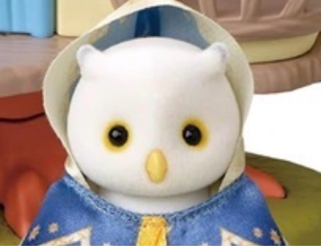 我が家の旧フクロウ : シルバニアの水たまり