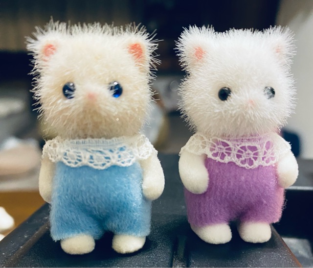 青い目のペルシャネコ、どんどんお迎えする : シルバニアの水たまり