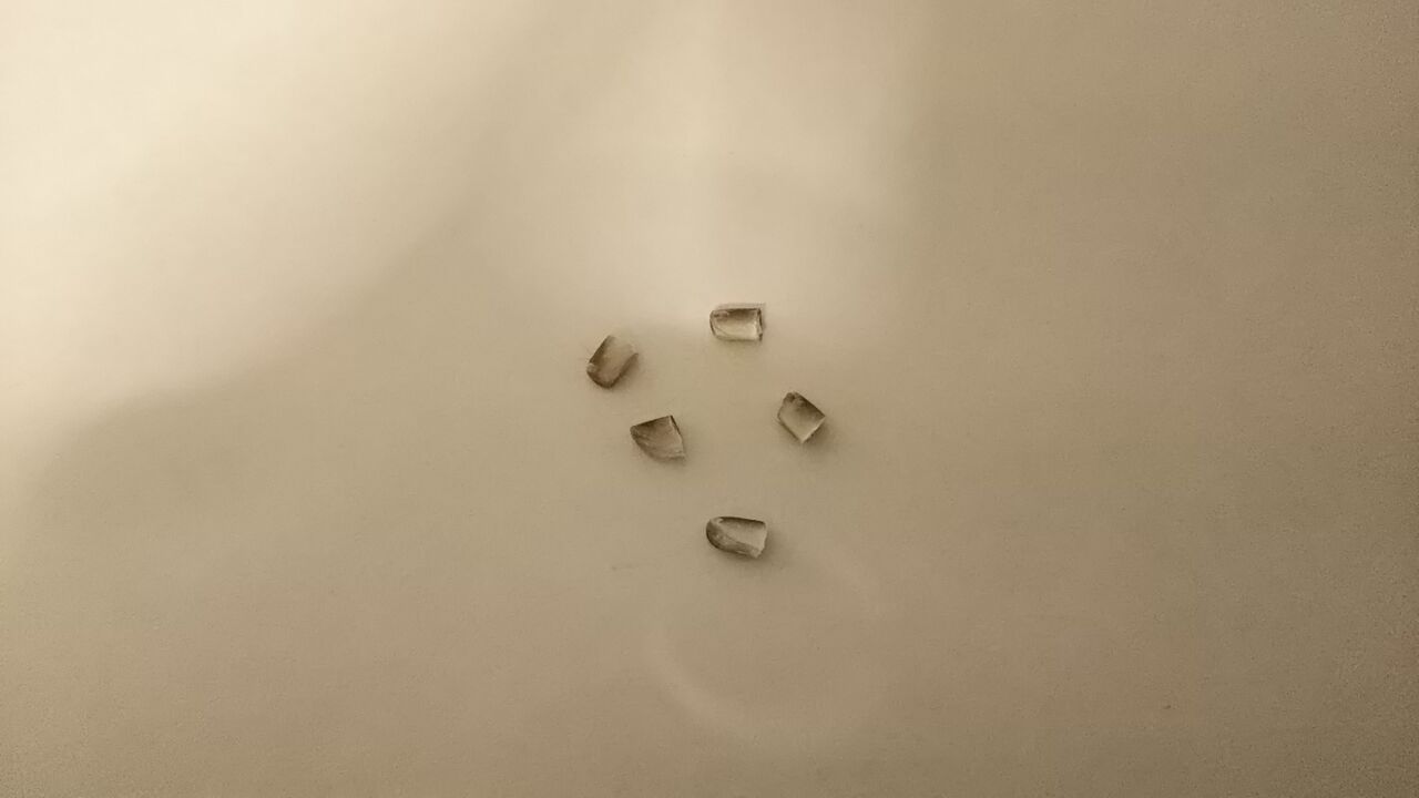 クイズ これはなんでしょう うさぎのおへや とんすけの毎日 クイズ これはなんでしょう うさぎのおへや とんすけの毎日