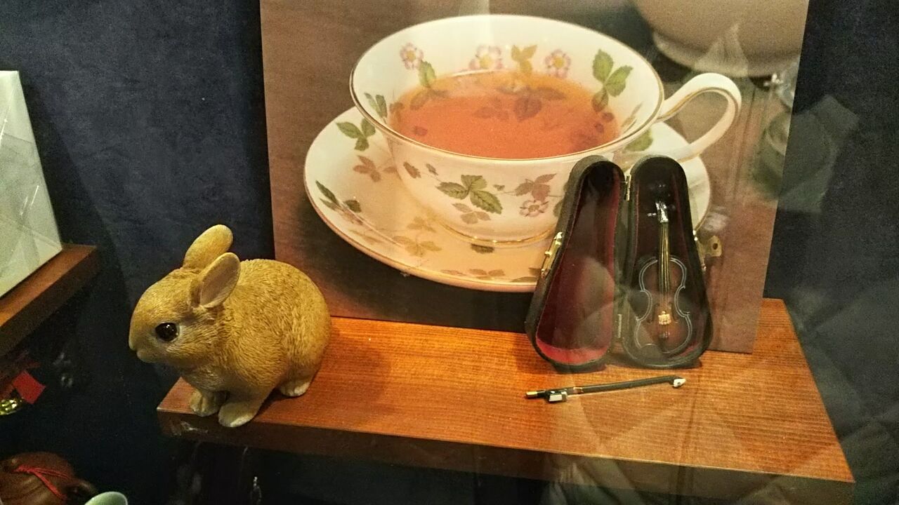 おうち時間 うさぎのおへや とんすけの毎日 おうち時間 うさぎのおへや とんすけの毎日