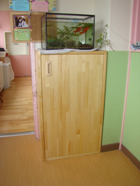 DSC08754