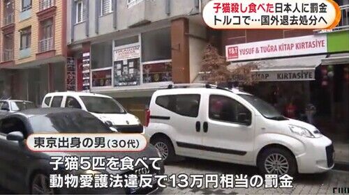 衝撃 信じれんわ トルコで子猫殺し食べた日本人の男に罰金 国外退去処分 もくもくトレンド速まとめ 衝撃 信じれんわ トルコで子猫殺し食べた日本人の男に罰金 国外退去処分 もくもくトレンド速まとめ