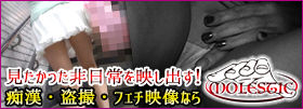 リアル痴漢・リアル盗撮の映像日記