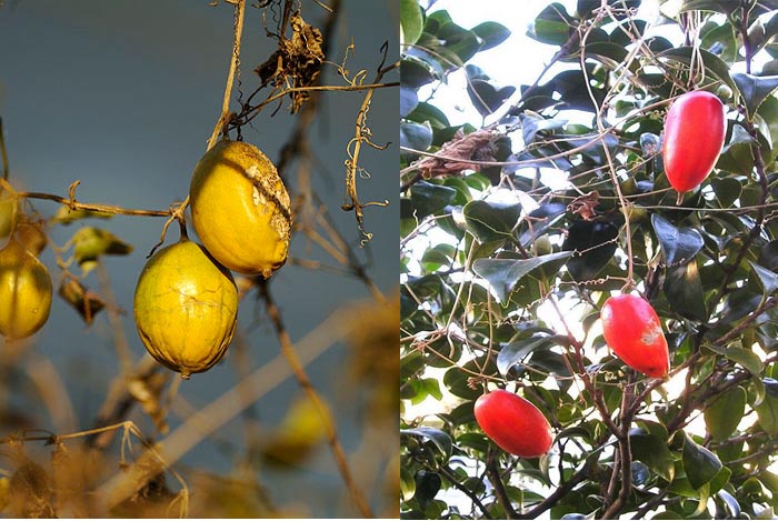 デジカメを持って旅をする