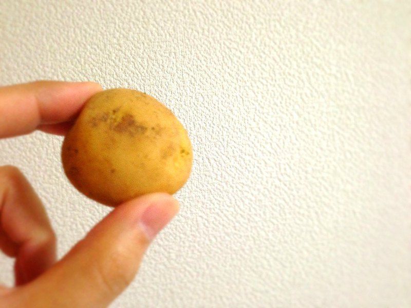 新じゃがレシピ 簡単煮物とローズマリーポテト 今日も食べておる 新じゃがレシピ 簡単煮物とローズマリーポテト 今日も食べておる