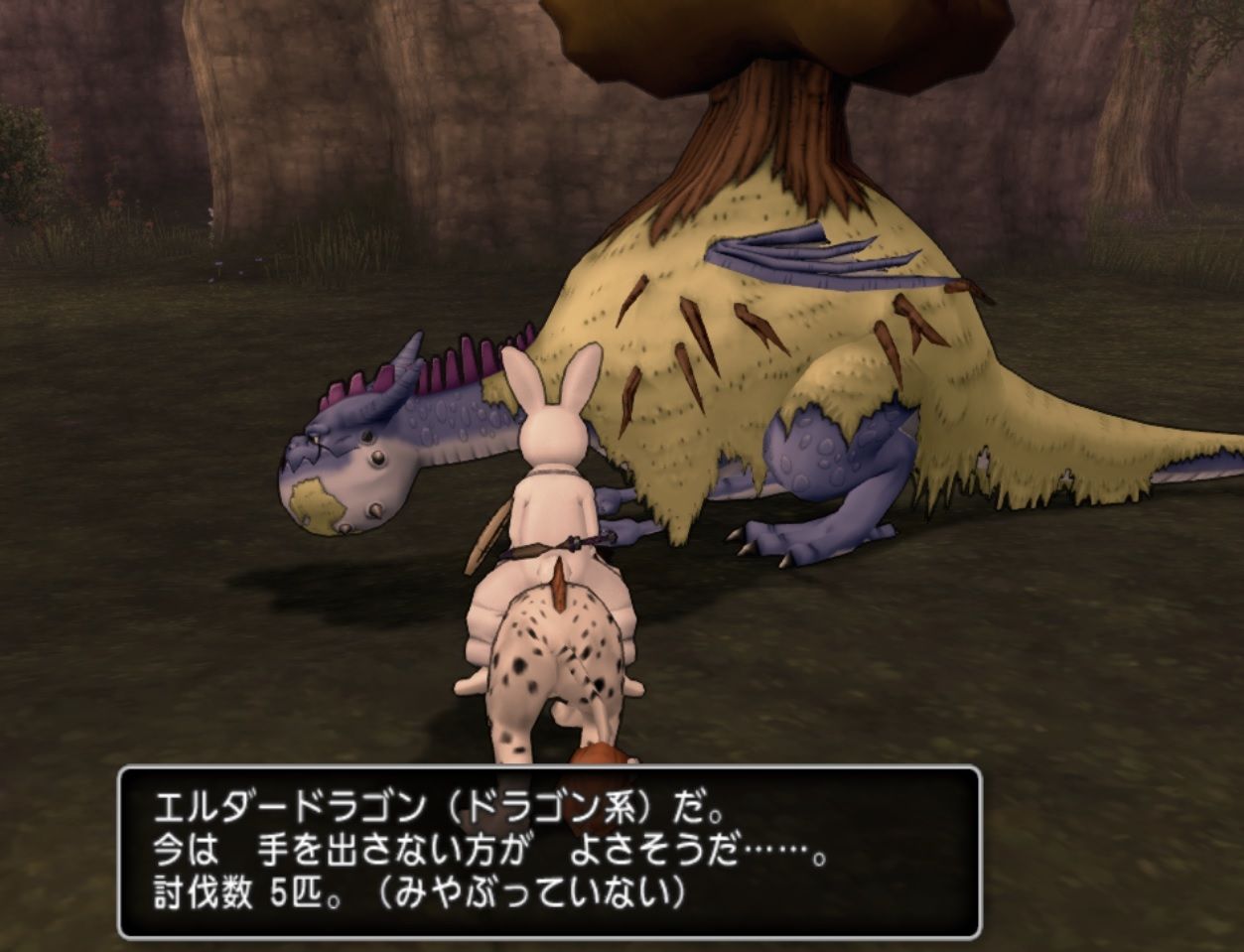 もめんと 結果報告 風の宝珠 勝どきmp回復 奪取大作戦 はるか高み