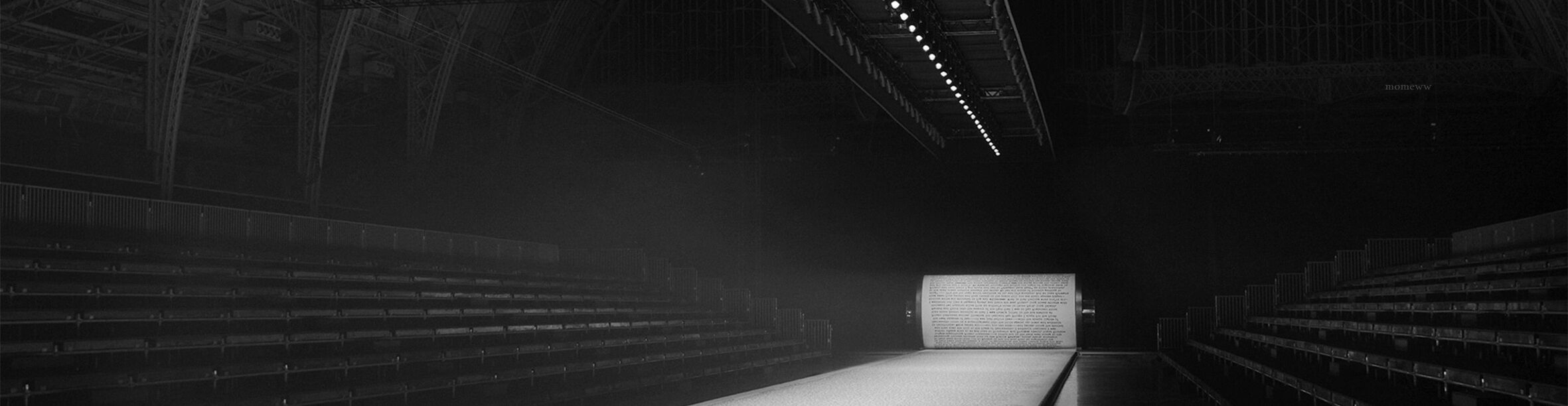 ライオンの画像