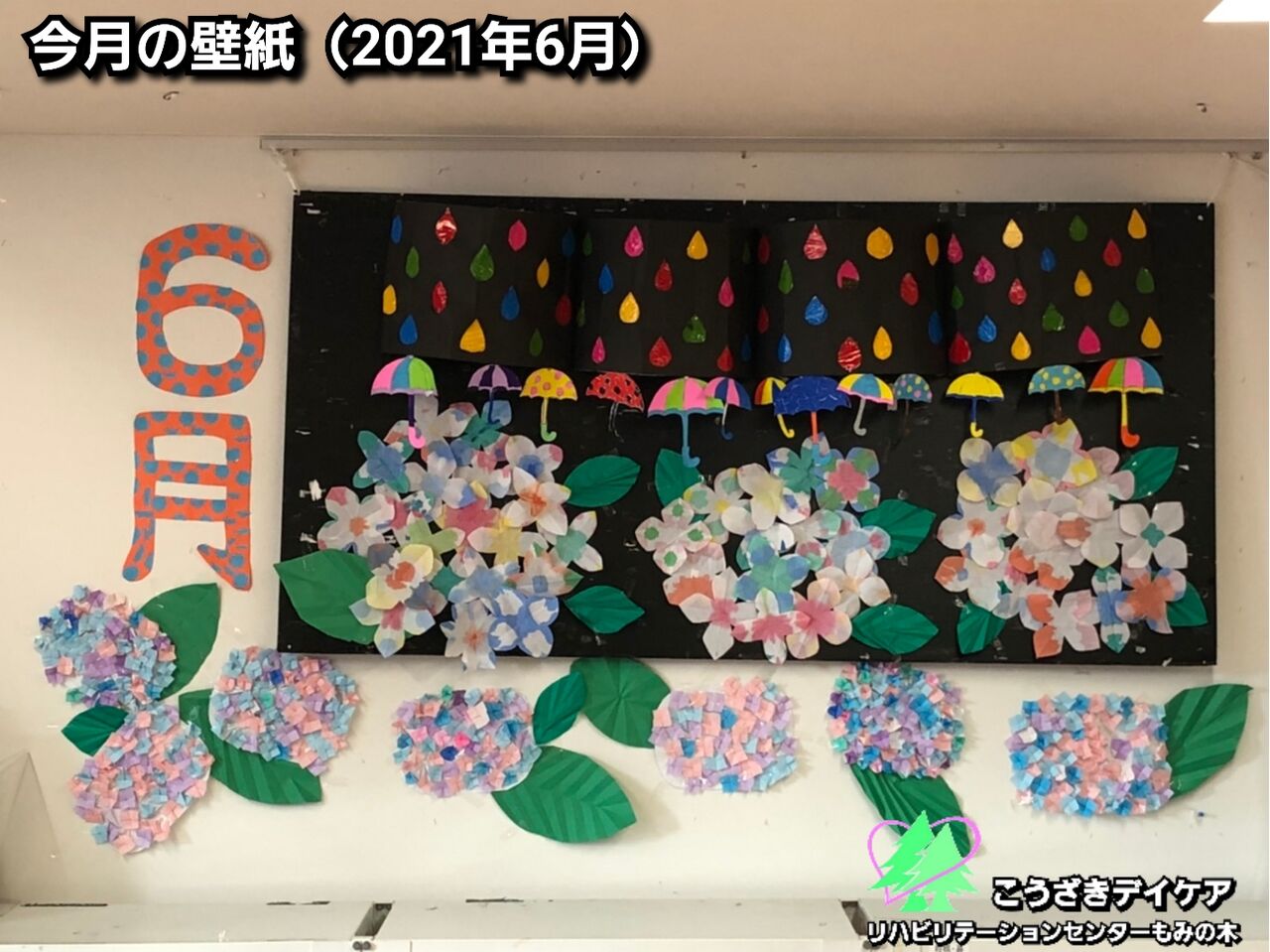 今月の壁紙 21年6月 こうざきもみの木 もみの木 の木の下で