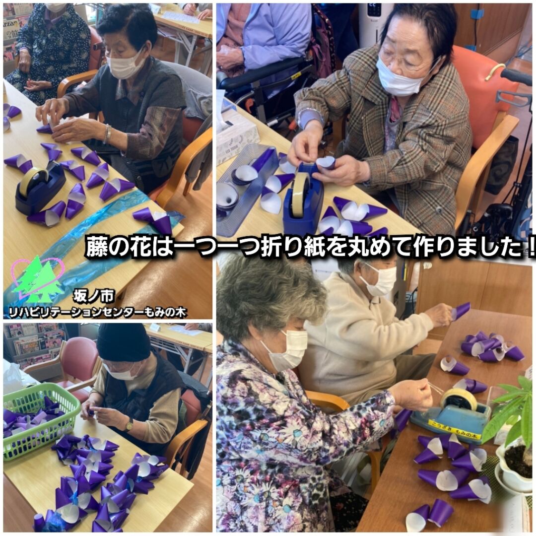 今月の壁紙 21年5月 こうざきもみの木 もみの木 の木の下で