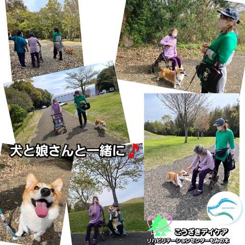 FotoGrid_20230530_014738243
