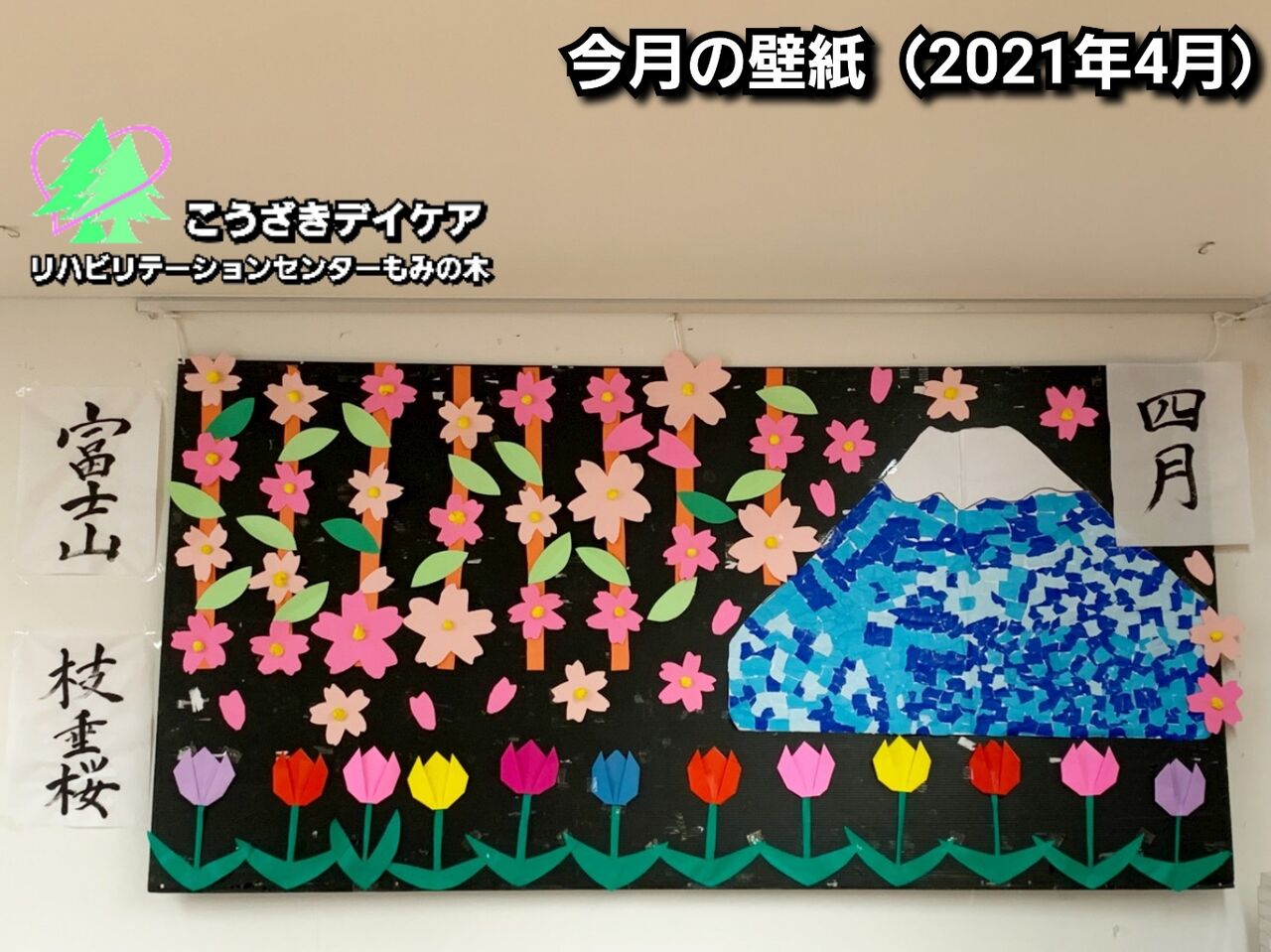 今月の壁紙 21年4月 こうざきもみの木 もみの木 の木の下で