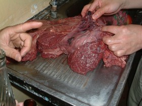 肉食 ザンビアってどこでしょう
