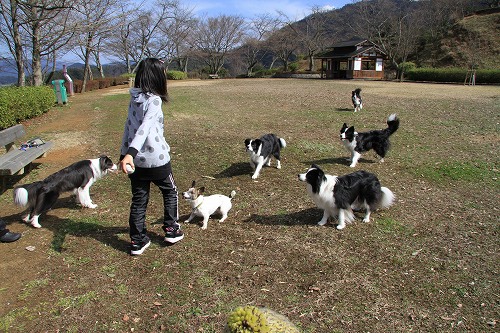 s-���ۥ� (1)