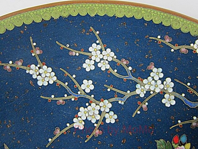 七宝焼の皿 花鳥図 : 近代輸出陶磁器に魅せられて 七宝焼の皿 花鳥図 : 近代輸出陶磁器に魅せられて
