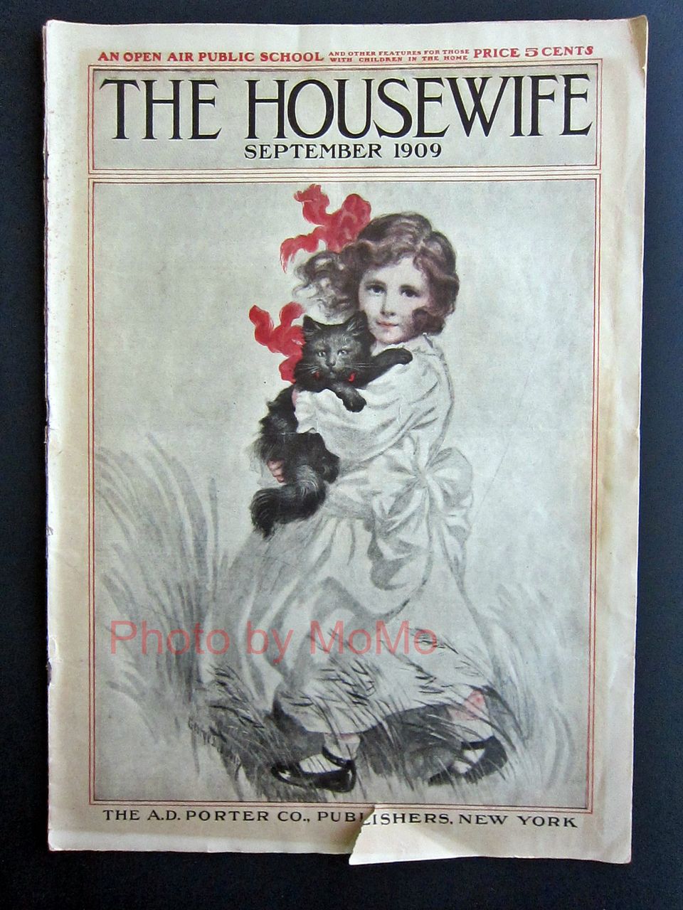 1909年9月 アメリカの女性雑誌より ファッションと宣伝 近代輸出陶磁器に魅せられて