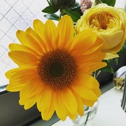 79F1FD30-AF88-4E01-9CE8-A335BCBBB419