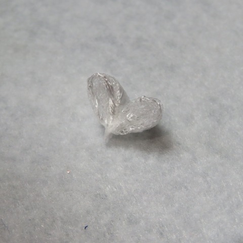 20210306125532_IMG_0908