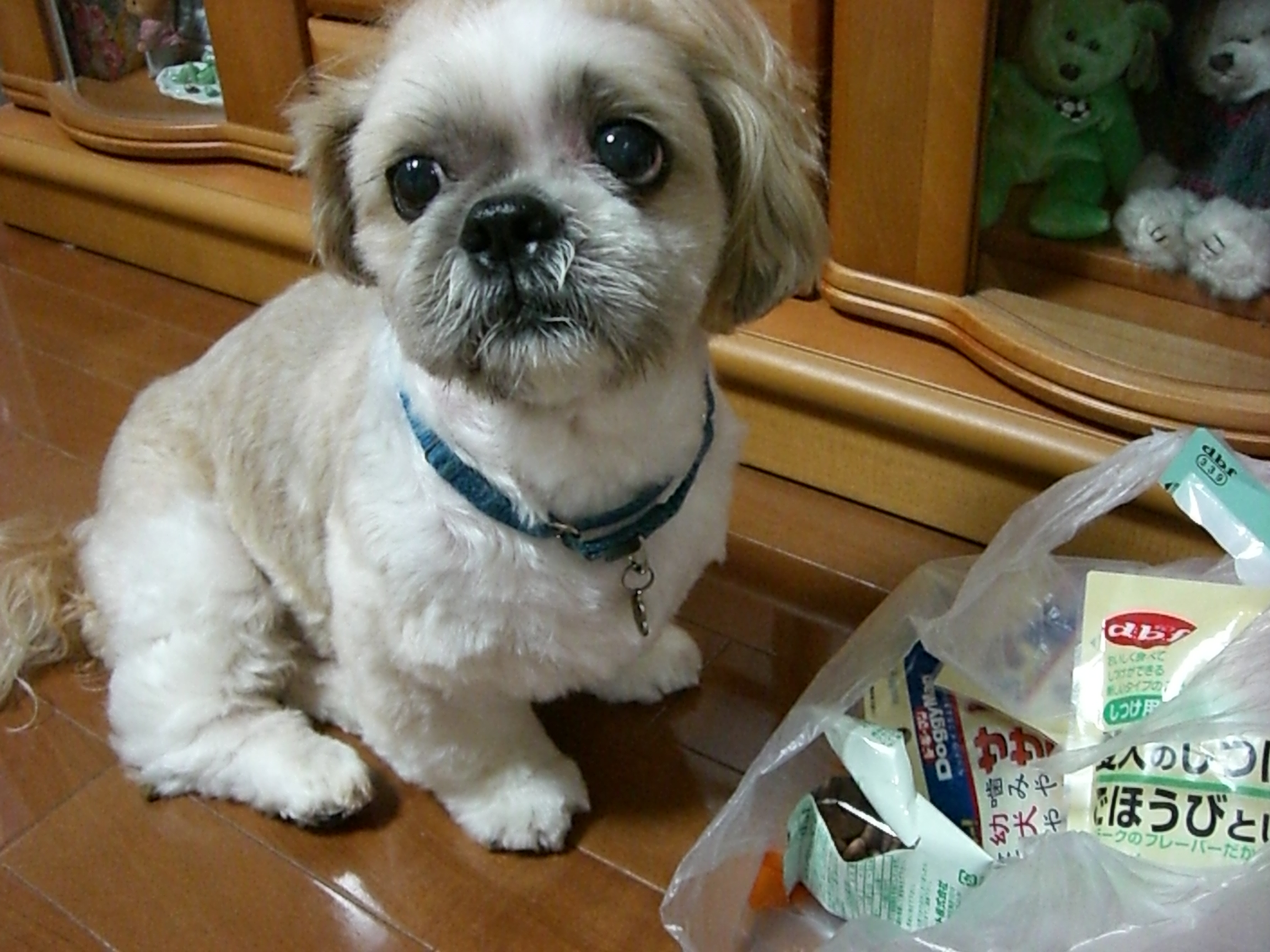 焼き鳥レバーがブームみたいです 犬と歩けば