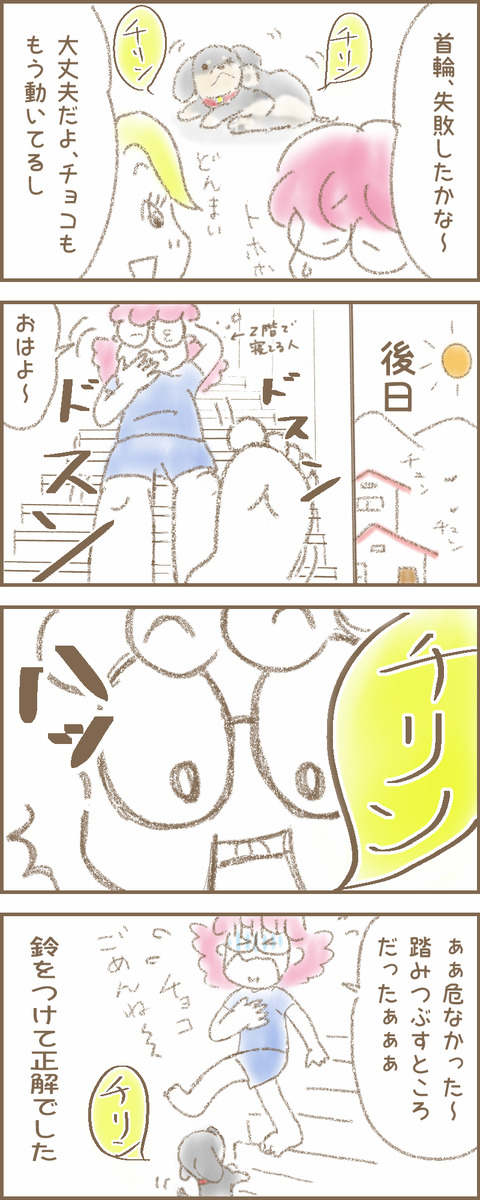 うちの子11abc