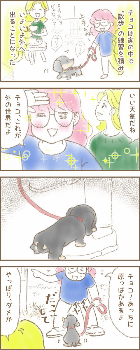 うちの子14xyz