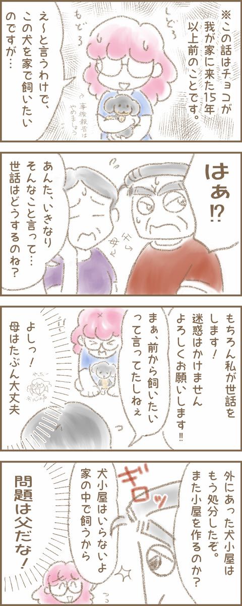 うちの子チョコa
