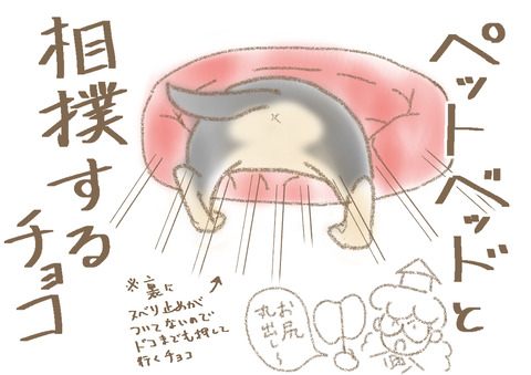おすもうx