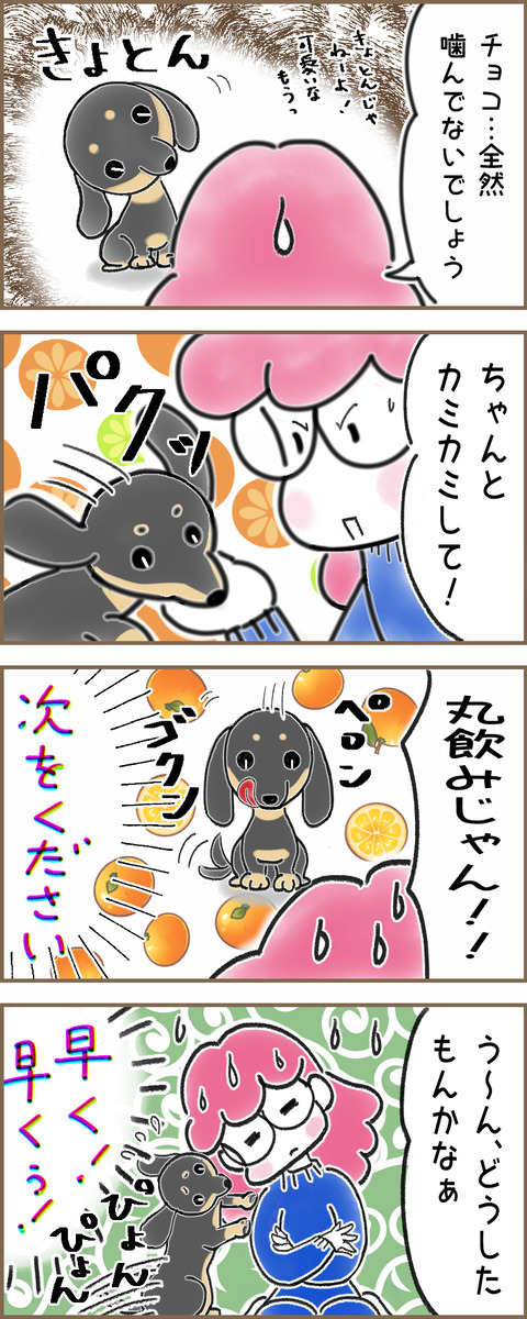 みかん６x