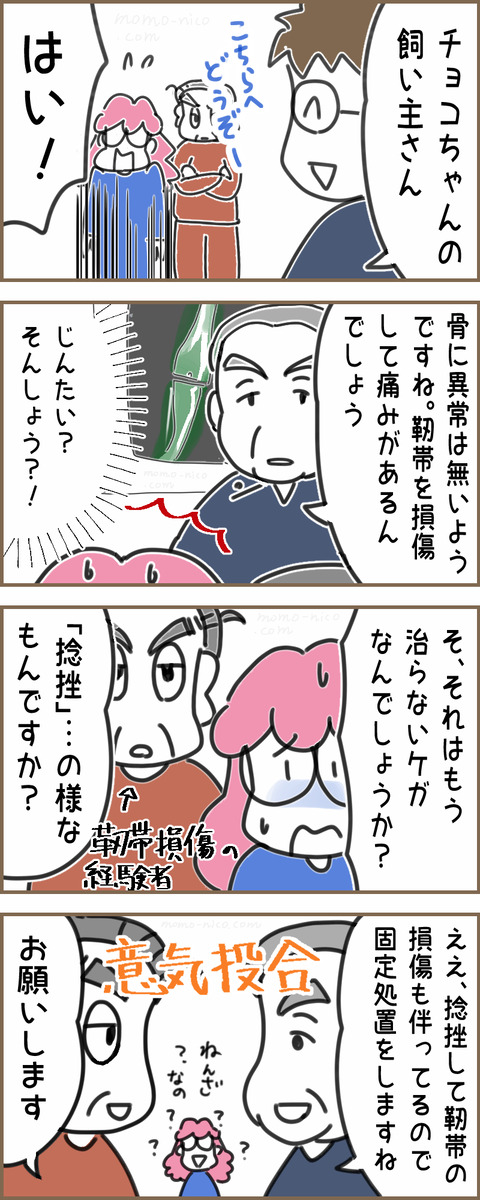 さんぽNG24a