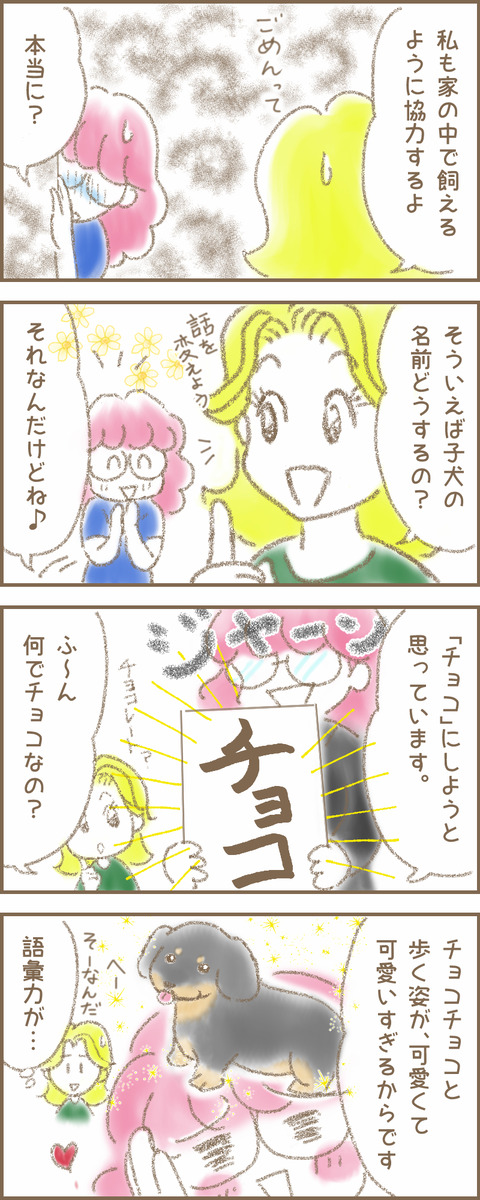 うちの子5abcd