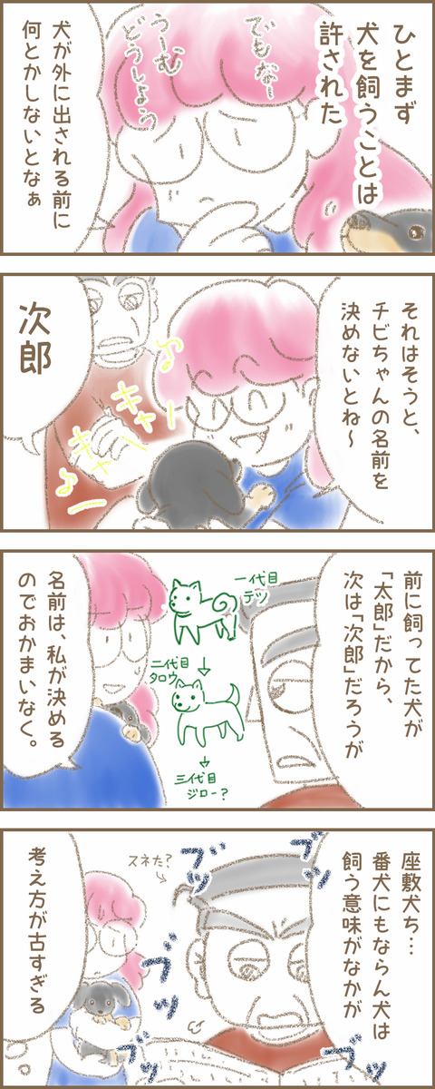 うちの子チョコ3a