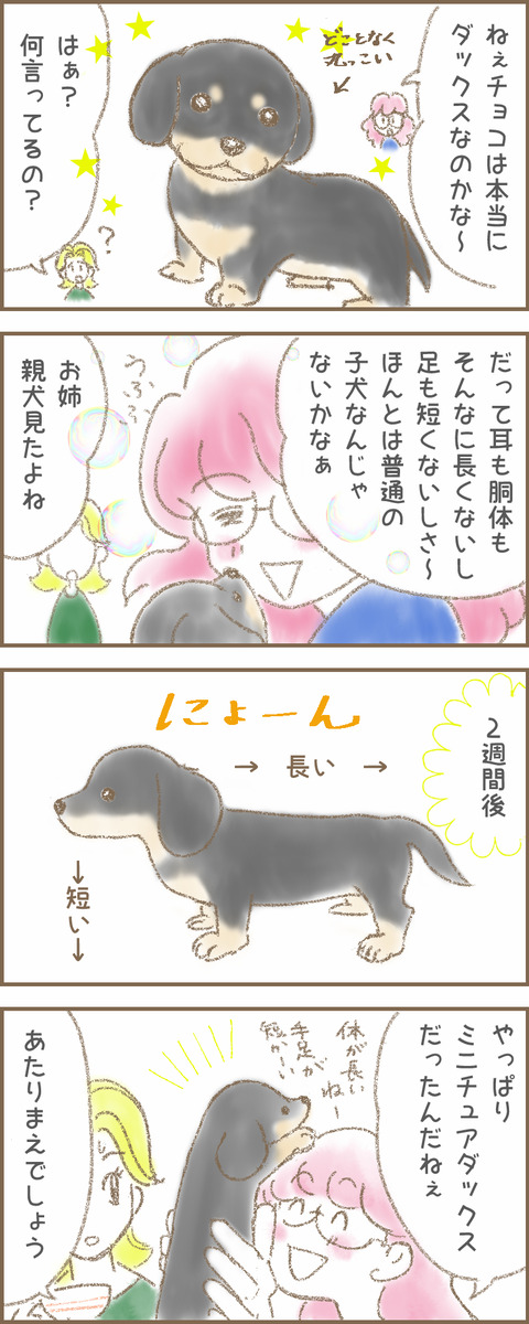 うちの子6a