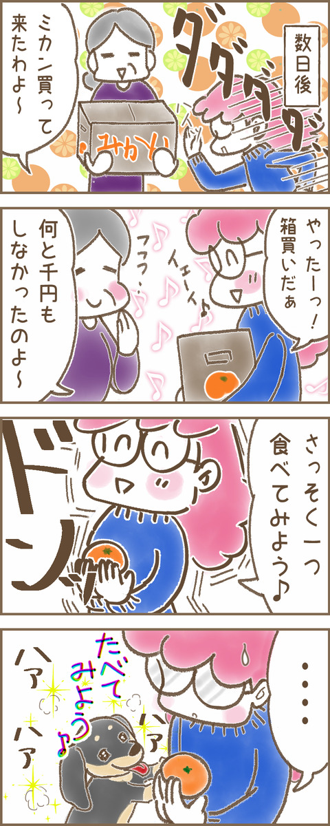 みかん4cc