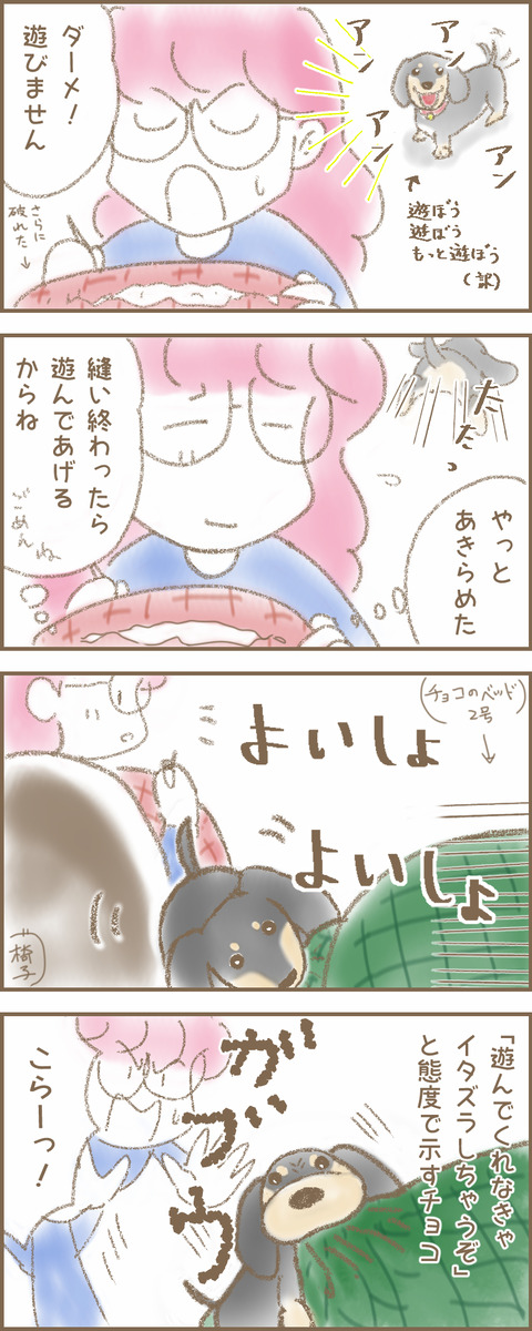 うちの子18xy