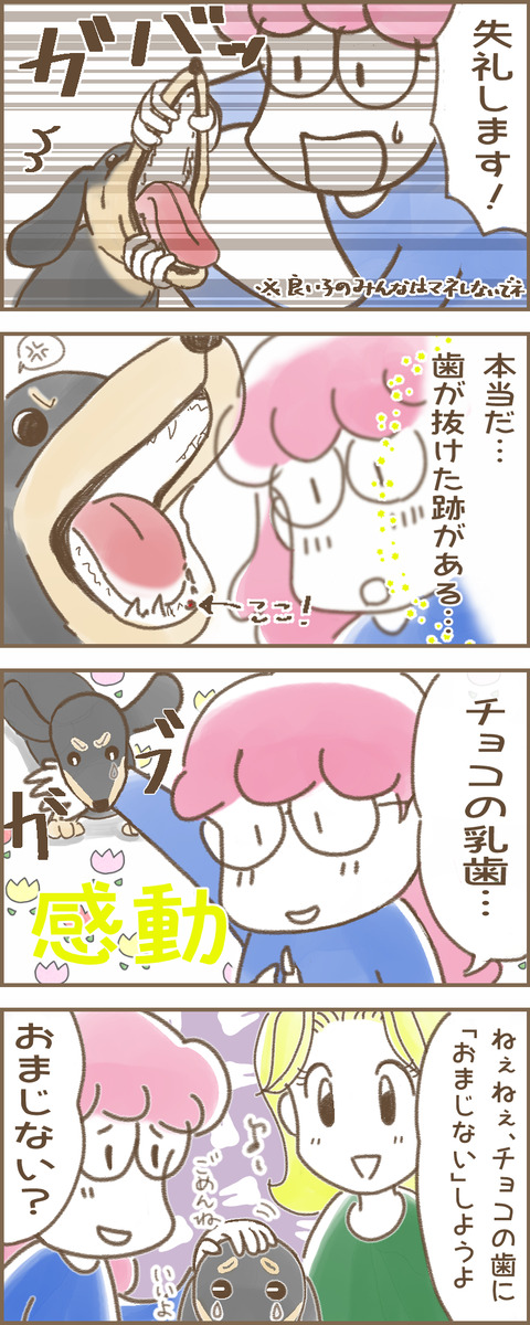 チョコの成長4x