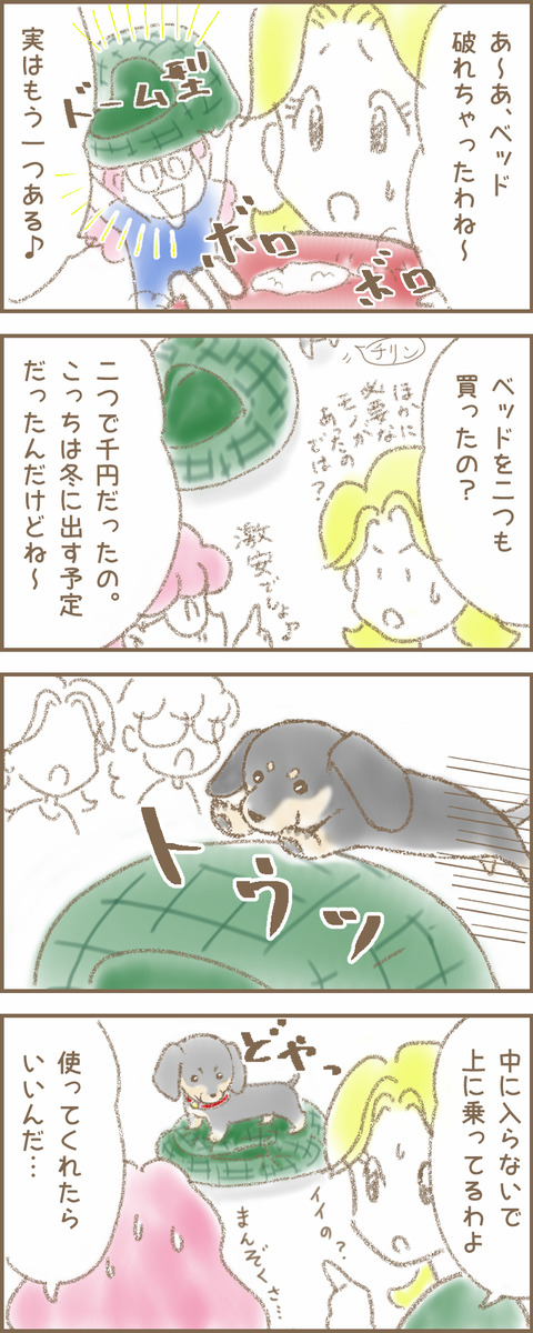 うちの子16cc