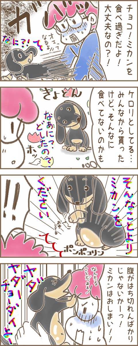 みかん3a