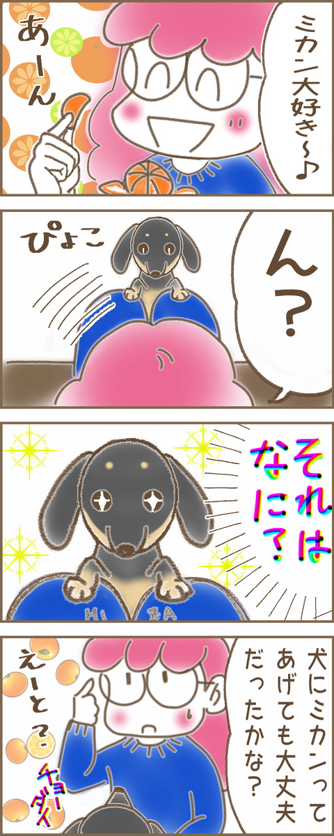 みかん1x