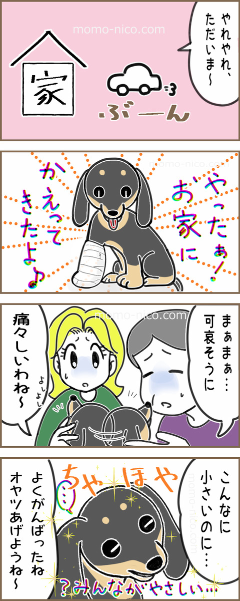 さんぽNG28x