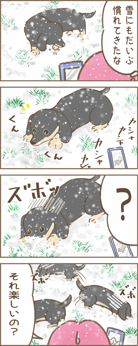 雪4x