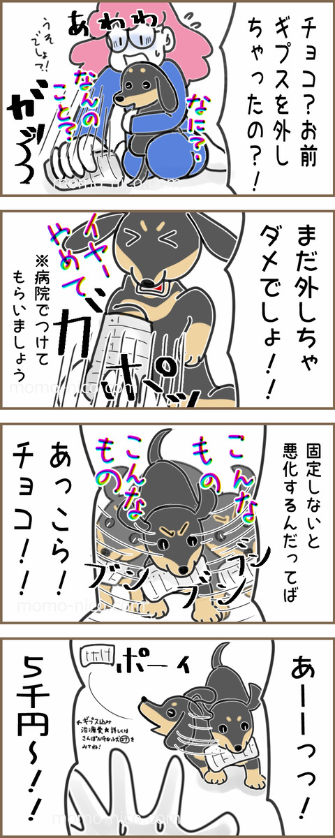 さんぽNG31x