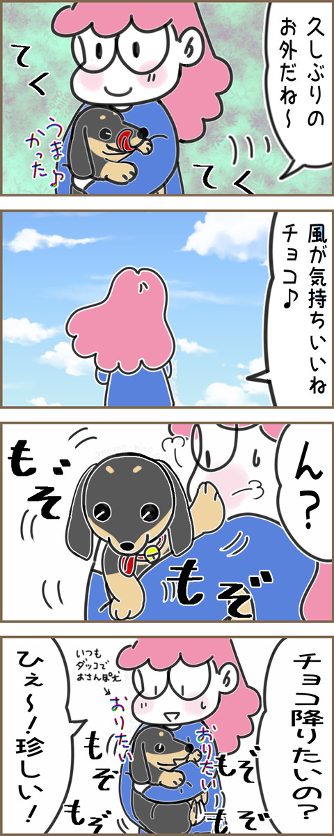 さんぽNG3x