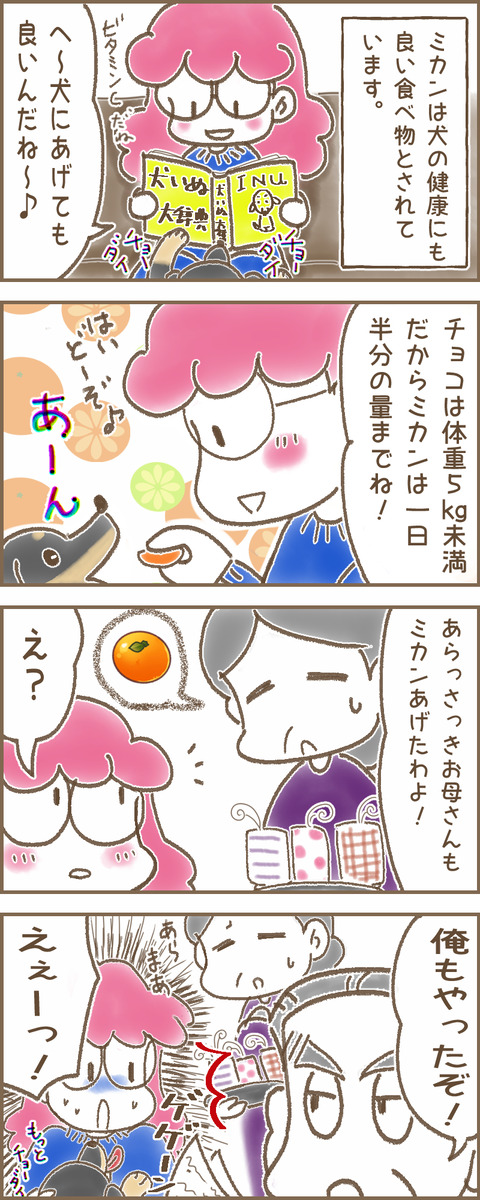 みかん2x